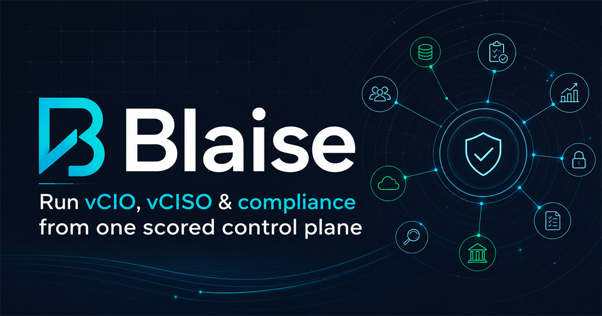 Blaise - Executive technology leadership and assurance